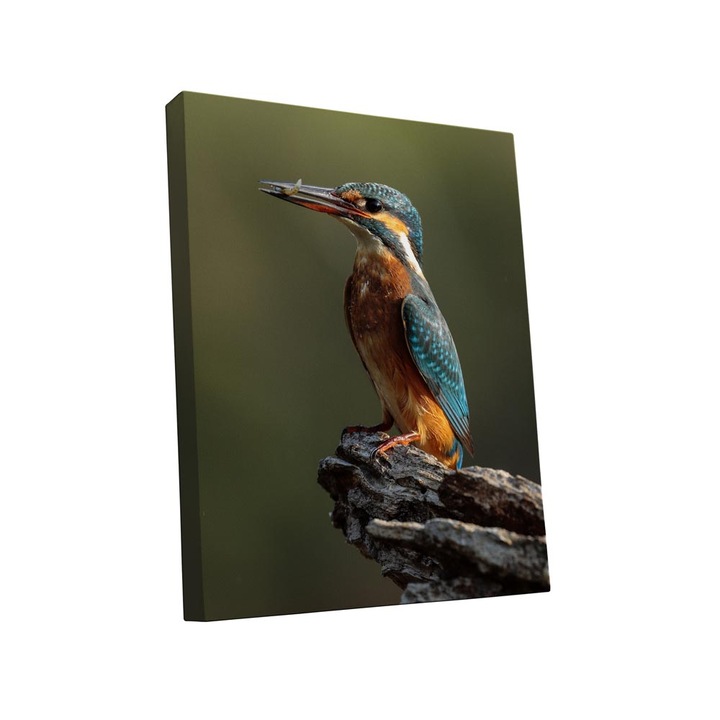 Tablou canvas Intelli®, Decoratiuni moderne pentru Living, Dormitor, Pasare, A1259, 170x110 cm