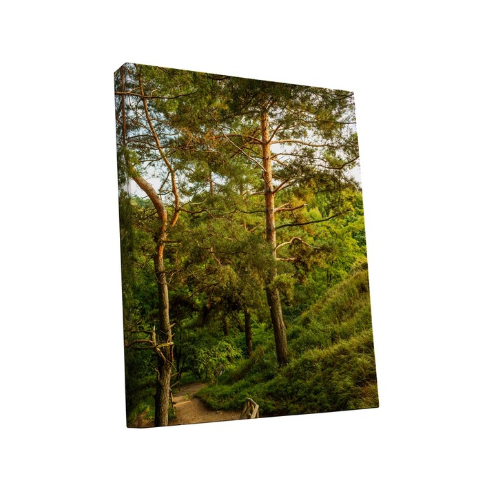 Tablou canvas Intelli®, Decoratiuni moderne pentru Living, Dormitor, Padure, A1279, 120x90 cm