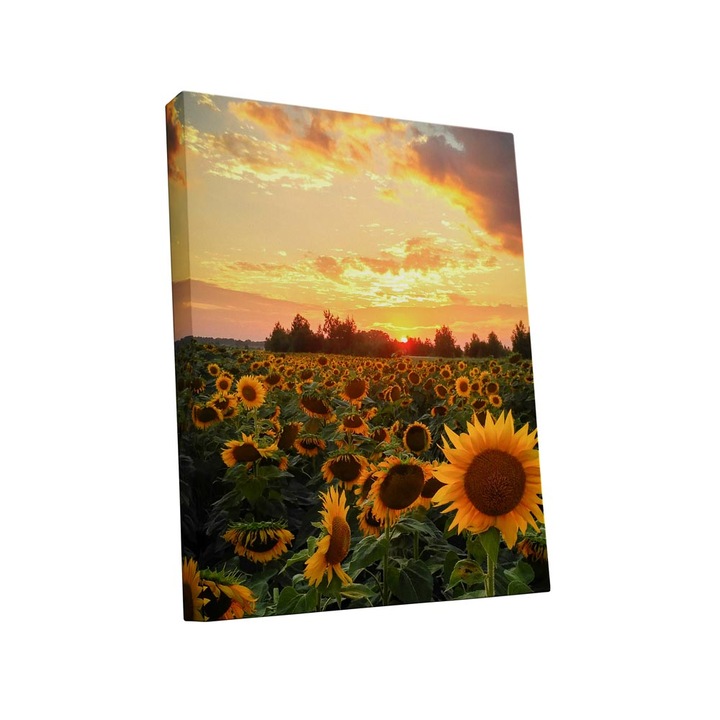 Tablou canvas Intelli®, Decoratiuni moderne pentru Living, Dormitor, Camp de floarea soarelui, A1282, 40x30 cm