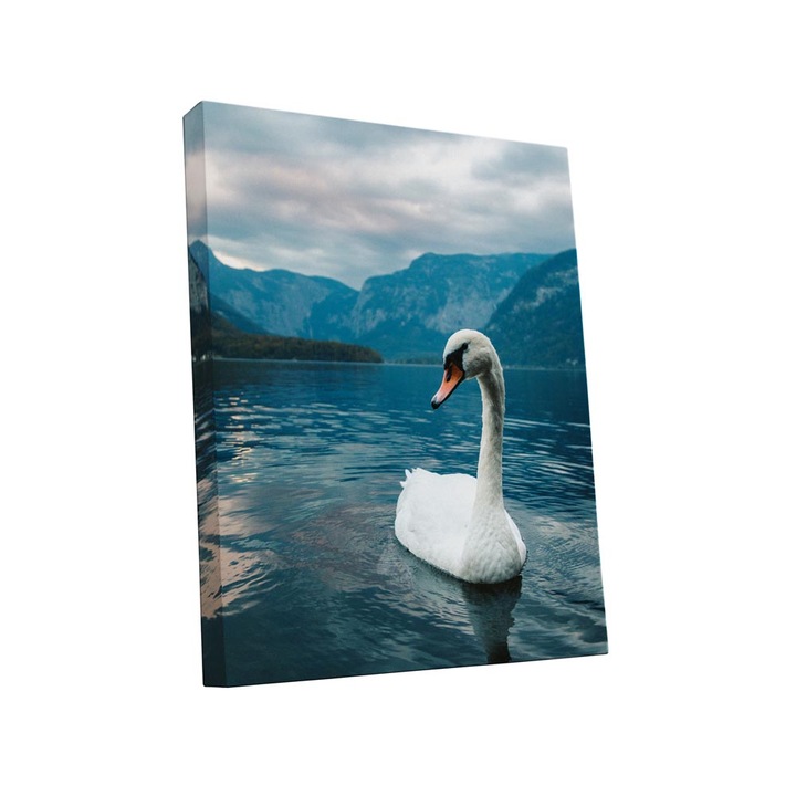 Tablou canvas Intelli®, Decoratiuni moderne pentru Living, Dormitor, Lebada, A1298, 70x45 cm