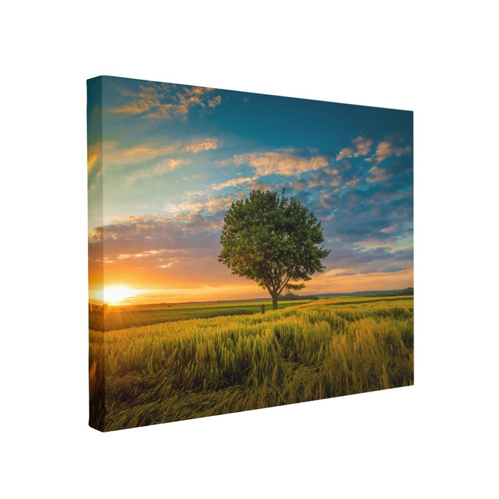 Tablou canvas Intelli®, Decoratiuni moderne pentru Living, Dormitor, Peisaj, F1488, 110x170 cm