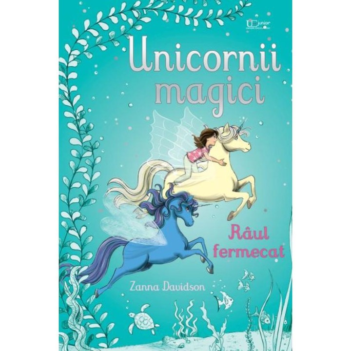 Unicornii magici. Raul fermecat (Usborne), Usborne Books