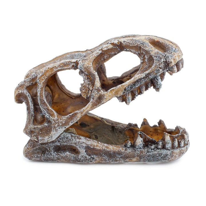 3 db dekoratív koponya akváriumi készlet, Happet, poliészter, 10 x 5,5 x 7,5 cm, szürke/barna