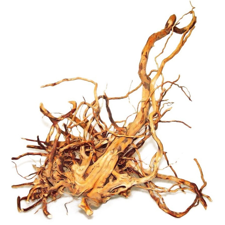 HAPPET akváriumi gyökér, természetes dekoráció, ázsiai eredetű, akváriumba és terráriumba