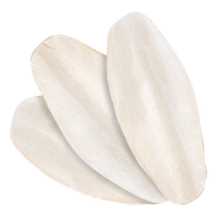 Set 25 oase de sepie pentru pasari si testoase, Happet, 100% Natural, 12 cm, Alb