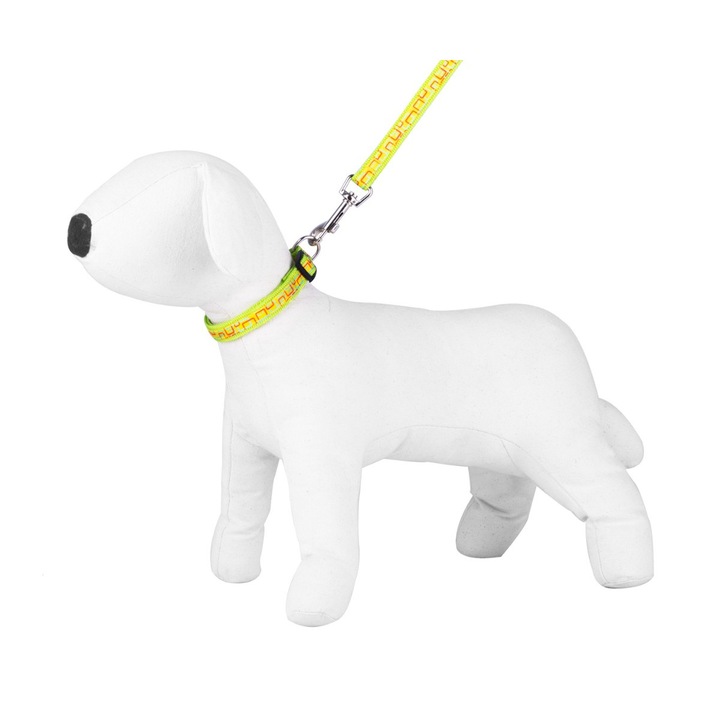 Póráz készlet nyakörvvel, Happet, Nylon, 2 cm, zöld