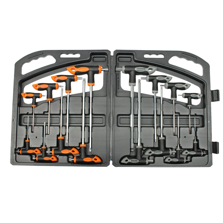 Trusa chei imbus + torx cu maner, 16 piese NX 21-320