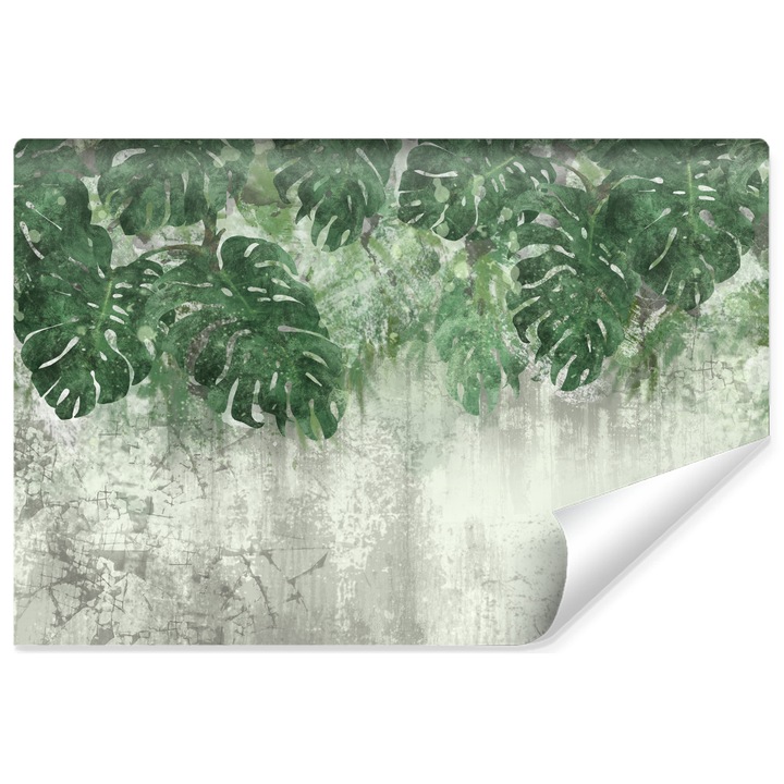Fotótapéta egzotikus Monstera levelek, faldekor, modern stílusú, betonfalra 270 cm x 180 cm konyhába, hálószobába