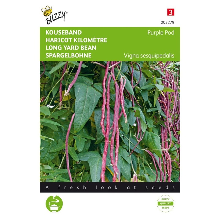 Seminte de fasole la metru violet, 6 grame, Buzzy