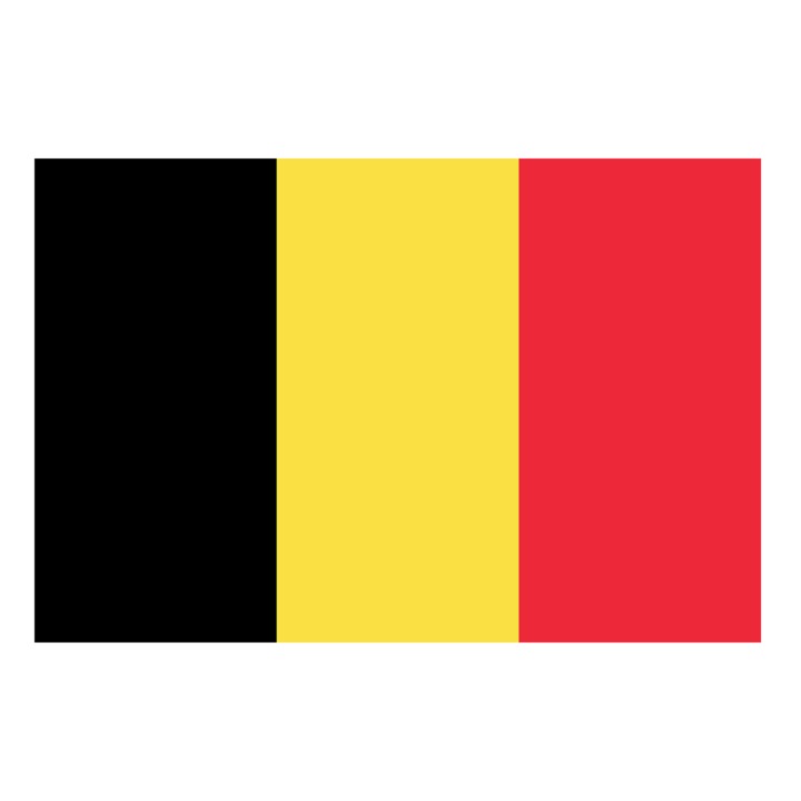 Steag Belgia, dimensiune 150x90cm, poliester, Vision XXI