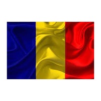 Steag Romania - Vision, dimensiune 150x90cm