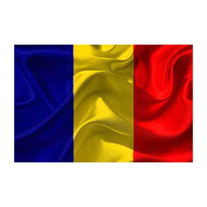 Steag Romania, dimensiune 150x90cm, poliester, Vision XXI