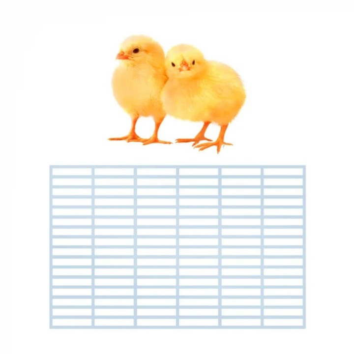 Baromfiketrec padló csomag - 57 x 40, 7 cm, 10 darabos készlet