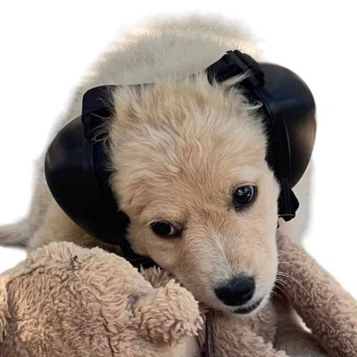 Casti antifonice pentru catei, Empria, dimensiune S, Negru