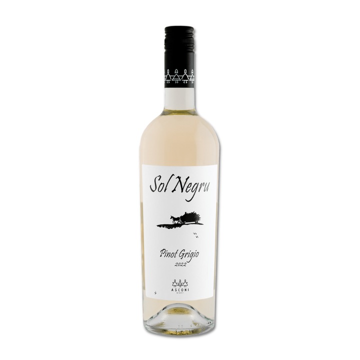 Vin alb sec Pinot Grigio, Asconi, Sol Negru, 750 ml