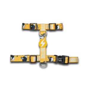 Zgarzi, lese si hamuri