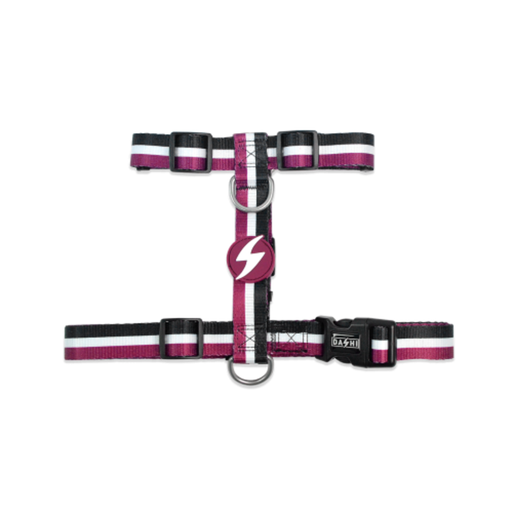 Ham pentru caini, Dashi Stripes3 Purple&Black, Reglabil, Prindere Spate, Extra Small