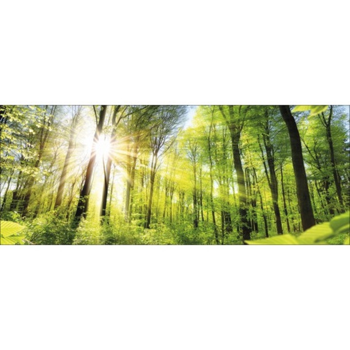 Tablou Sticla Towards The Sun 30x80 Cm
