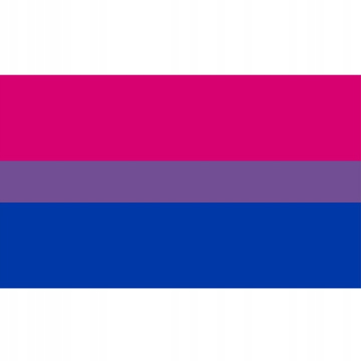 Steag LGBT, Bisexualitate, 90x150cm, Multicolor