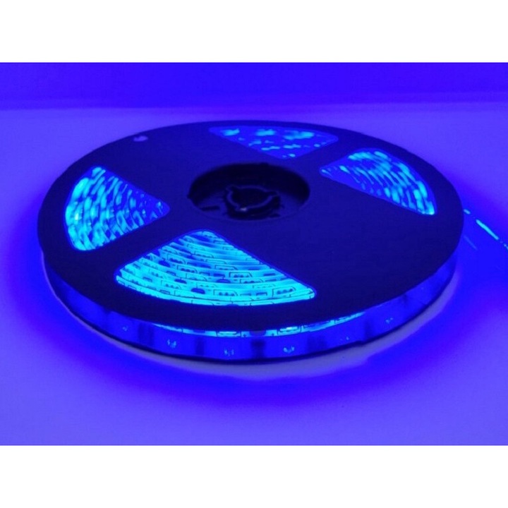 Banda LED, IP65 - 5m - Albastru
