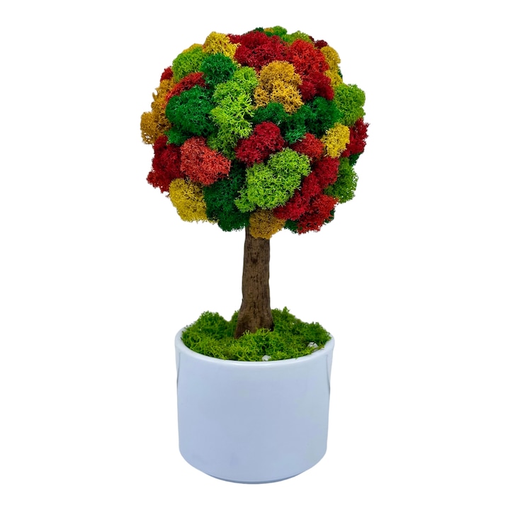 Pomisor cu licheni naturali stabilizati cu trunchi printat 3D, mic (28x14x14 cm), Multicolor - Eventissimi