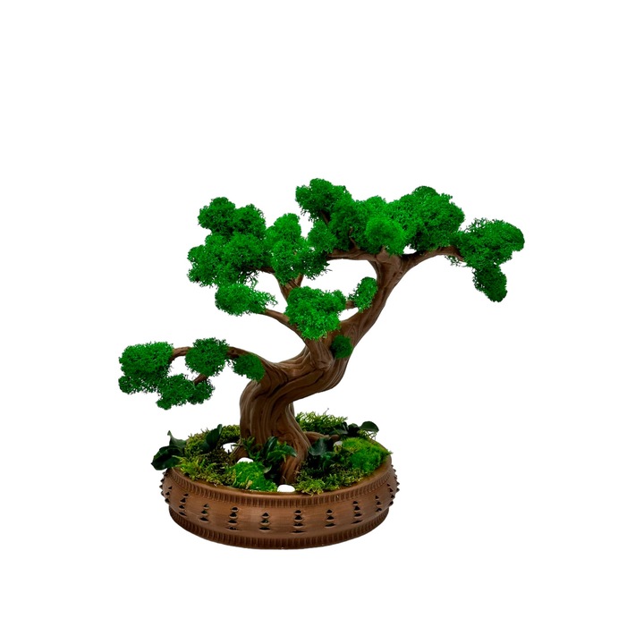 Bonsai cu licheni, muschi naturali stabilizati si plante criogenate, mare (28x31x16 cm), verde / maro - Eventissimi