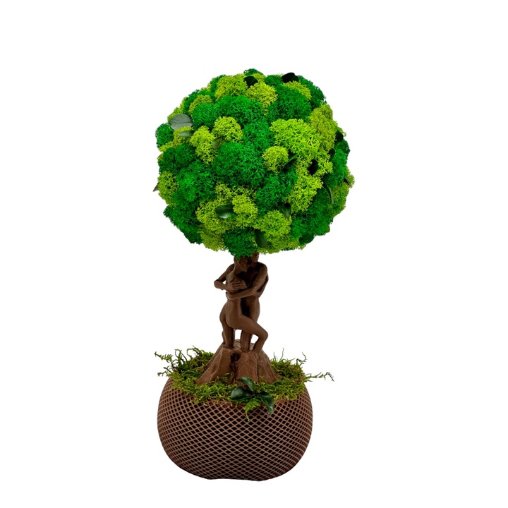 Pomisor cu licheni, muschi naturali stabilizati si plante criogenate cu trunchi statueta indragostiti, mediu (30x15x15 cm), verde / maro - Eventissimi