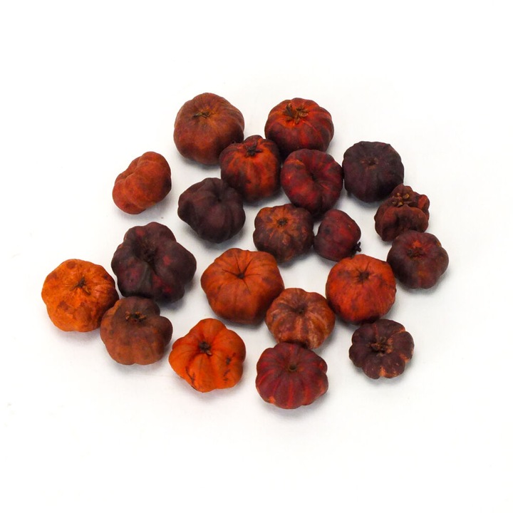 Portocala de dovleac Corolla, 20 buc/pachet