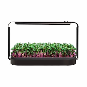 Kit de Crestere Microplante si Germeni RARINCARE, tip ghiveci Hidroponic, Lampa UV 16W, gradina de interior sustenabila acasa, la birou sau balcon, Negru