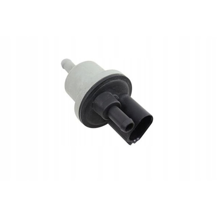 Szelep, szénszűrő Borsehung B12188