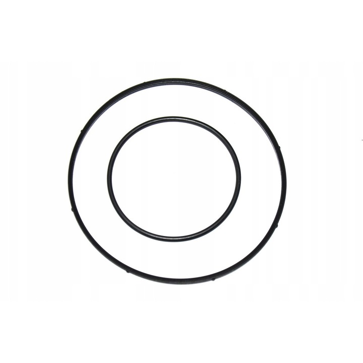 Garnituri pompe de vid, Elring