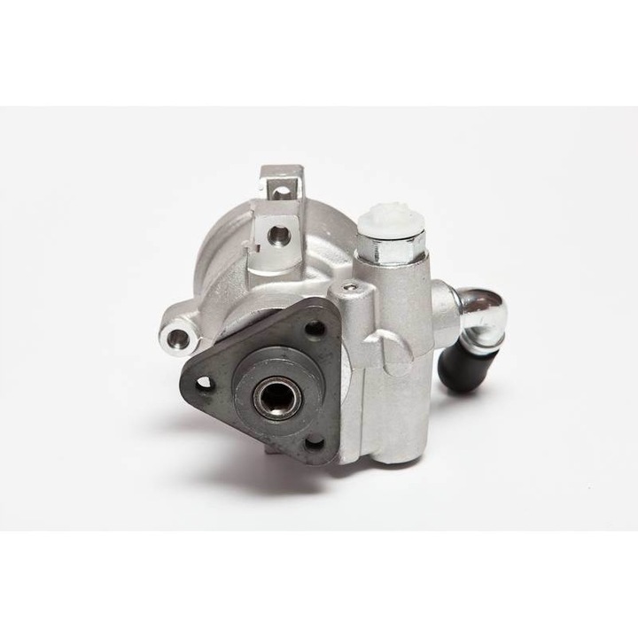 Pompa servodirectie 10SKV071, ESEN SKV, Argintiu