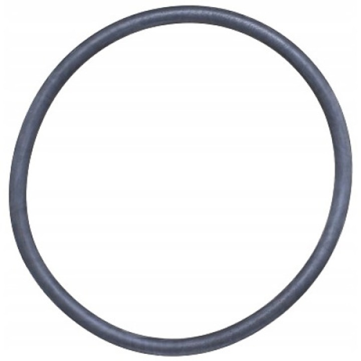 Termosztát tömítés, Elring, 002.240