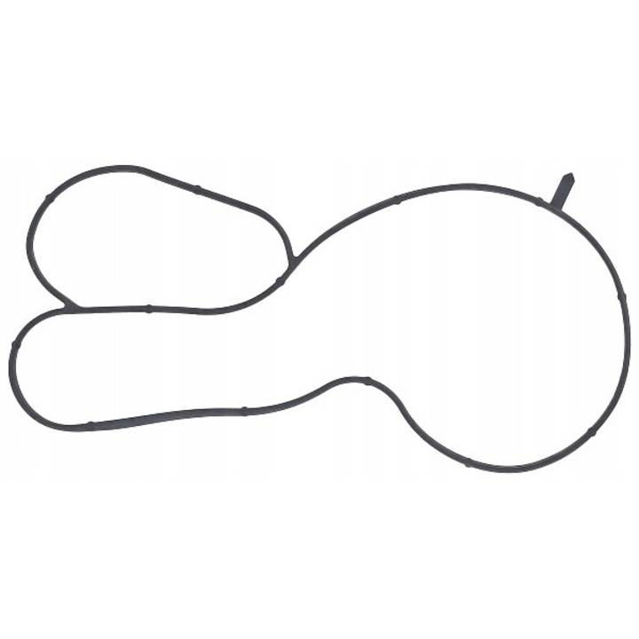 Vízszivattyú tömítés, Elring