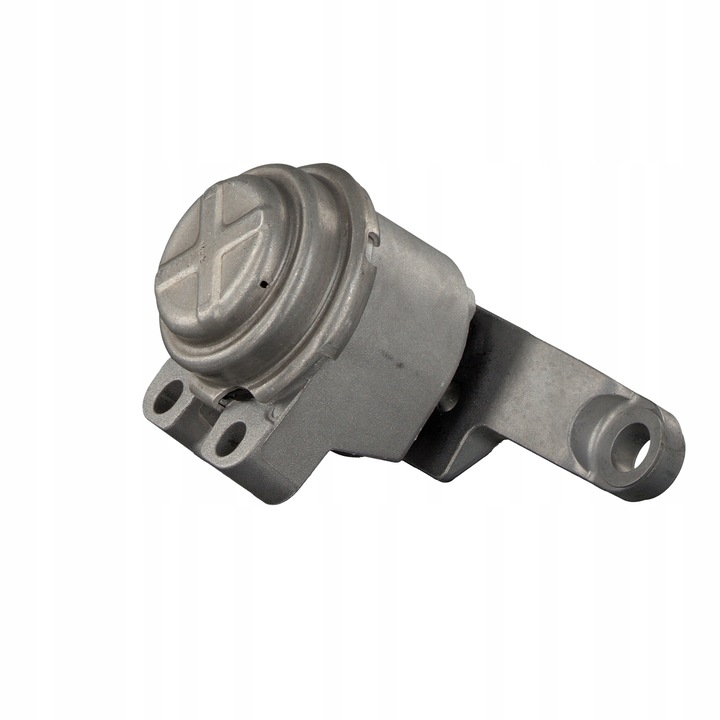 Тампон на двигател 32666, FEBI BILSTEIN, Сребрист