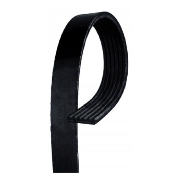 Curea transmisie cu caneluri GATES 6PK803