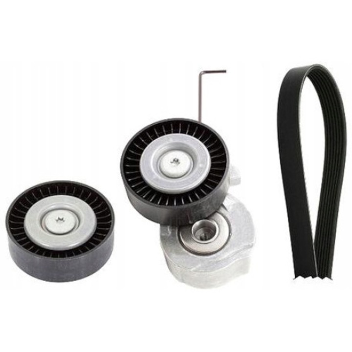 Sebességváltó szíj INA 529 0320 10, 6 borda, 1203mm