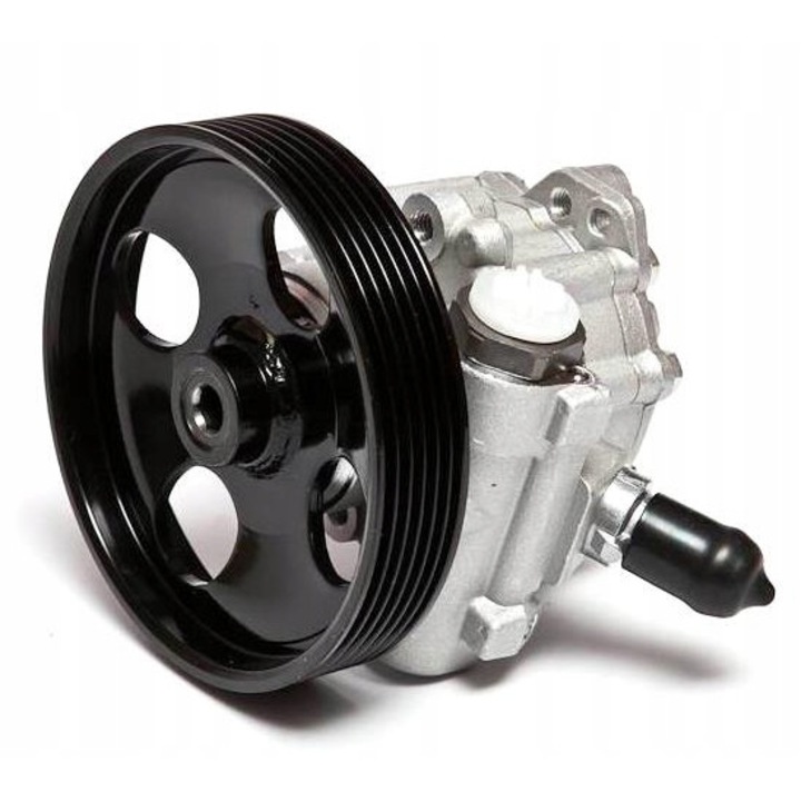 Pompa servodirectie, ESEN SKV, 10SKV023, Argintiu