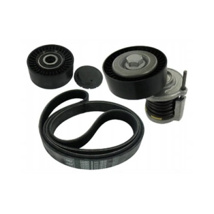 Ékszíj készlet, SKF, 31084