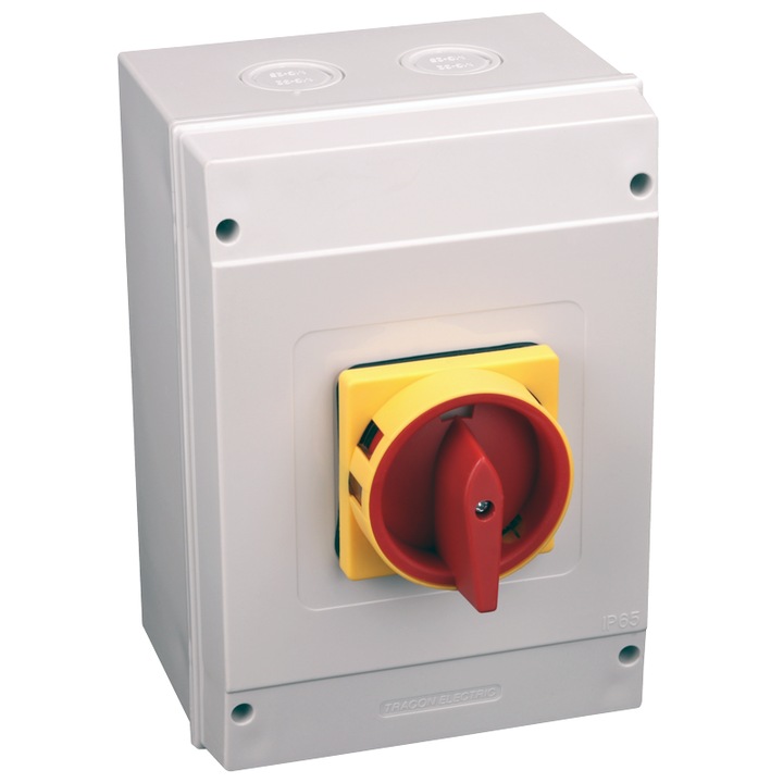 Intrerupator de siguranta cu carcasa, Tracon Electric, 100A