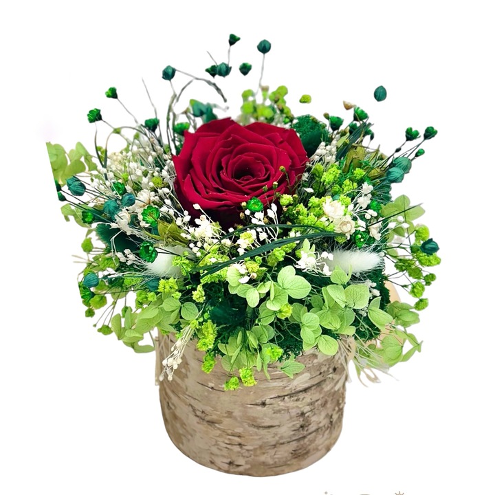 Aranjament cu trandafir criogenat si plante naturale uscate si criogenate in vas din scoarta de copac Eventissimi - Rosu / Verde