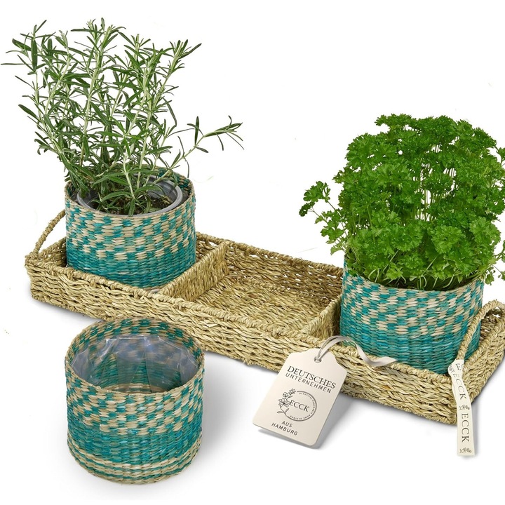 Set 3 Ghivece Decorative din Ratan Natural cu Tava Inclusa, pentru Plante Aromatice si Decorative, Verde