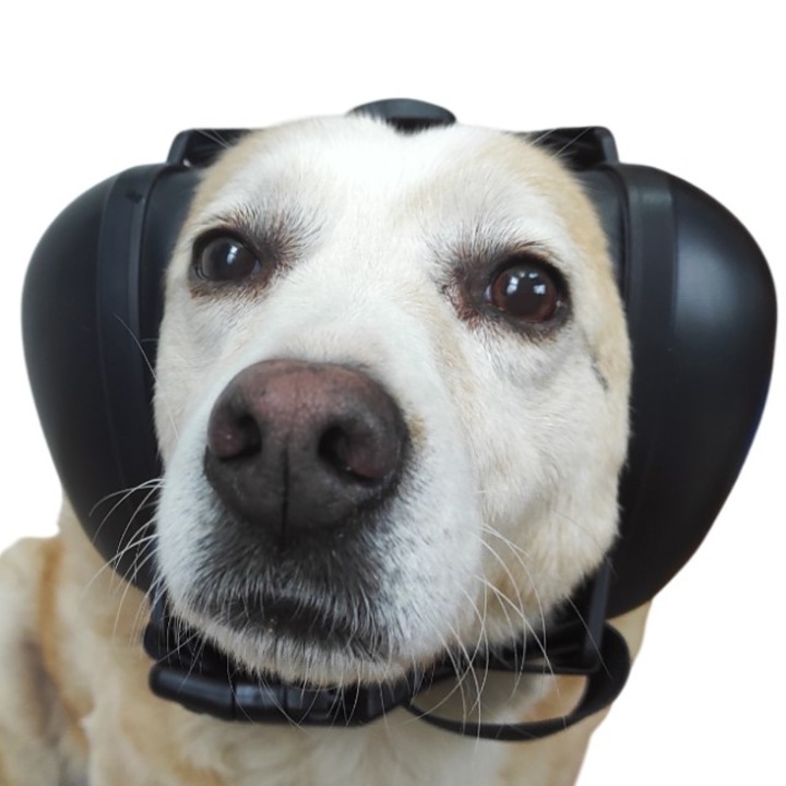 Állati hallásvédő fülvédő, M-es méret, fekete