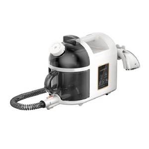 Aparate de curatat cu abur si mopuri electrice