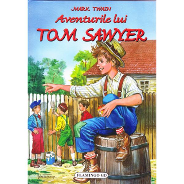 Interpret soup paper Aventurile lui Tom Sawyer - carte de Mark Twain - eMAG.ro