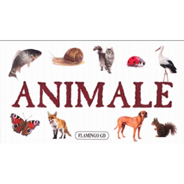 Animale