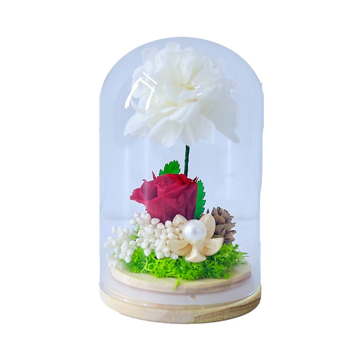 Aranjament floral in cupola de sticla cu trandafir criogenat, Rosu/Alb, 8 x 13 cm, Velve