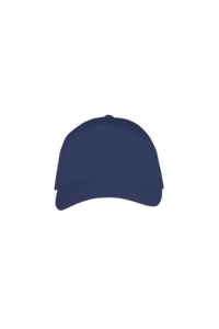 Sepci si caciuli barbati