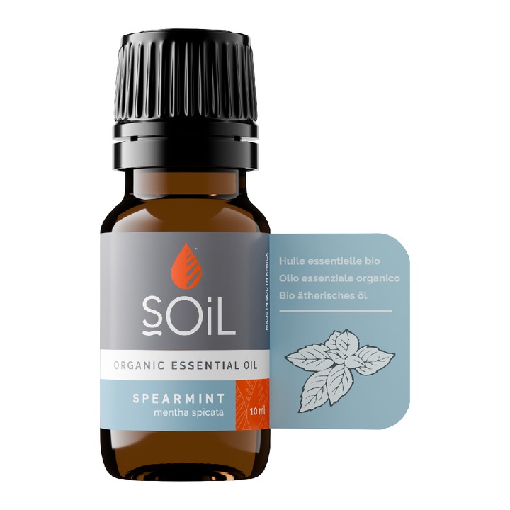 Ulei Esential Soil Menta Creata Spearmint (Mentha Spicata), Pur, 100% certificat organic ECOCERT, 10 ml