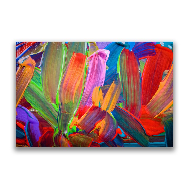 Първокласна картина на платно, LuxCanva C1057, абстрактна, 80 X 120 CM, 100% памучно платно 400g/m2, дървена рамка, абстрактна, Детска стая, Всекидневна, Релаксация, Живи цветове